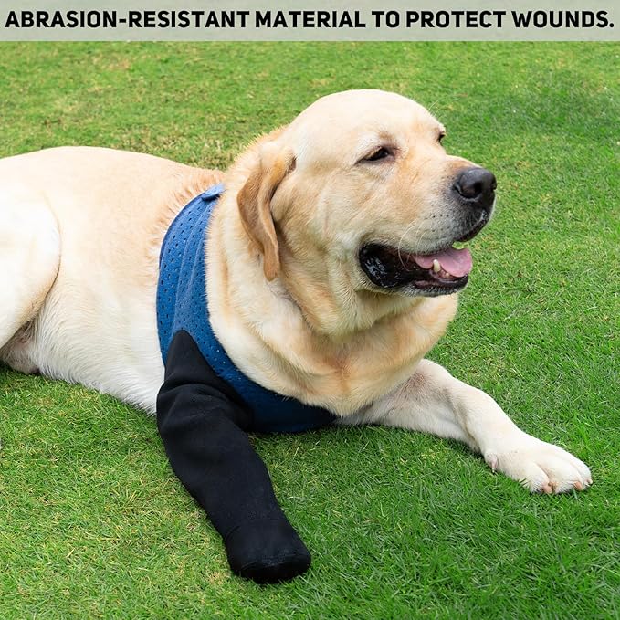 COODEO Dog Socks to Prevent Licking Paws, Healing Boots & Paw Protectors with Non-Slip Bottoms for Wound Protection, Waterproof Sleeve Shoes for Licking（Blue，3XL_Right
