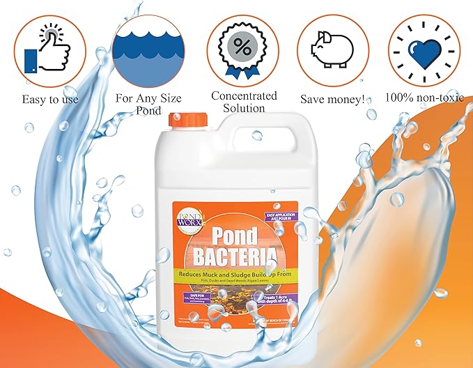 PondWorx Pond Bacteria - Formulated for Large Ponds, Water Features and Safe for Koi - Gallon