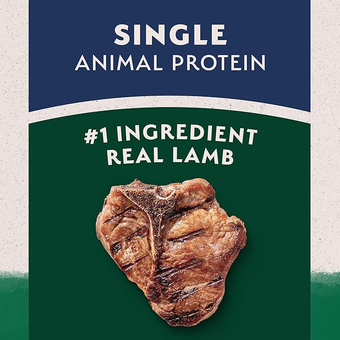 Natural Balance Limited Ingredient Adult Dry Dog Food with Healthy Grains, Lamb & Brown Rice Recipe, 4 Pound (Pack of 1)