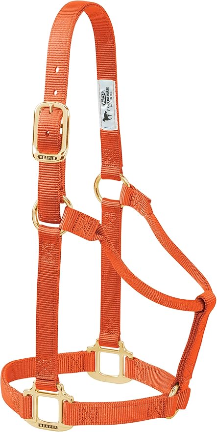 Weaver Equine Nylon Horse Halter, Triple-Ply Cheek Design, Original Non Adjustable Halters for Horses, Equine Tack,Average Size, Black