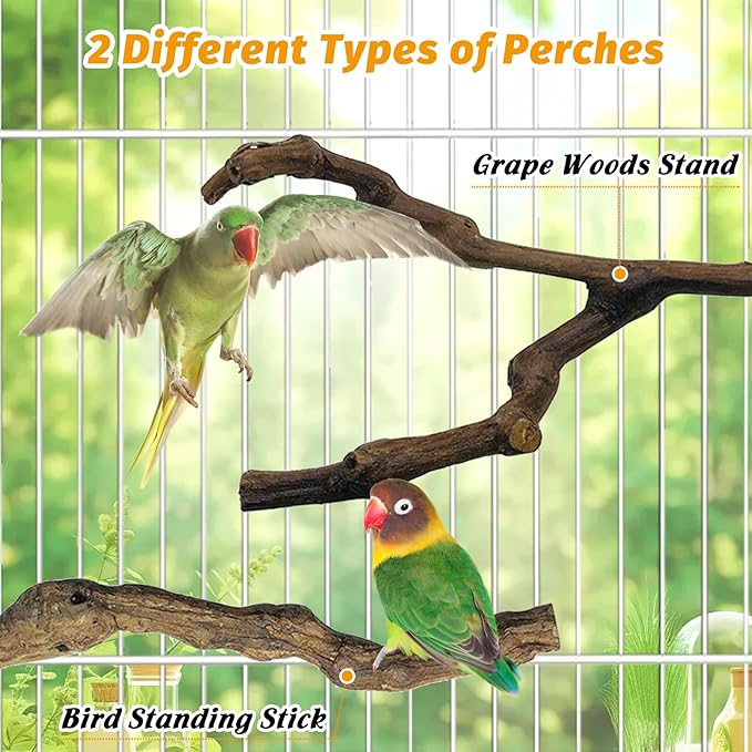 kathson 3pcs Natural Parrot Perch for Cage Wooden Bird Perches Grape Bird Stick Parakeet Climbing Standing Branches Toy Chewable Cage Accessories for Small Budgies Cockatiels Lovebirds Budgies