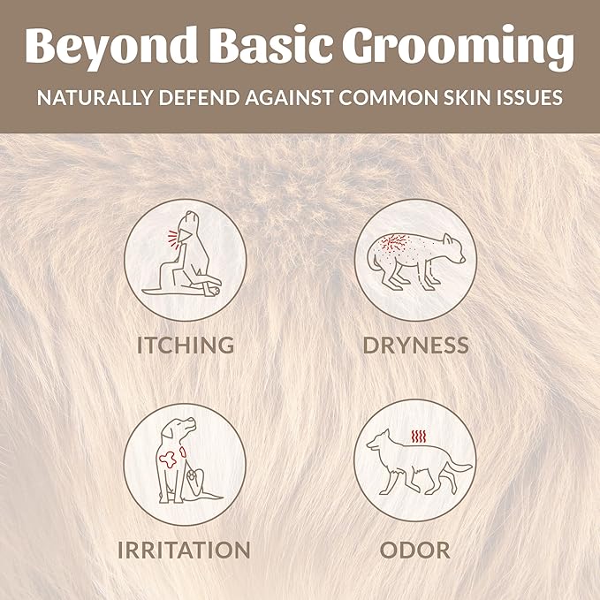 SKOUT'S HONOR Probiotic Pet Deodorizer Spray- Hydrating Daily-Use with Avocado Oil & Omega-3s, Microbiome Friendly Certiified, Paraben & Sulfate-Free, 97% Natural, 8oz, Dog of The Woods
