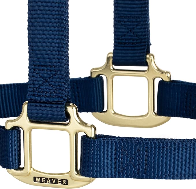Weaver Equine Nylon Horse Halter, Triple-Ply Cheek Design, Original Non Adjustable Halters for Horses, Equine Tack,Average Size, Black