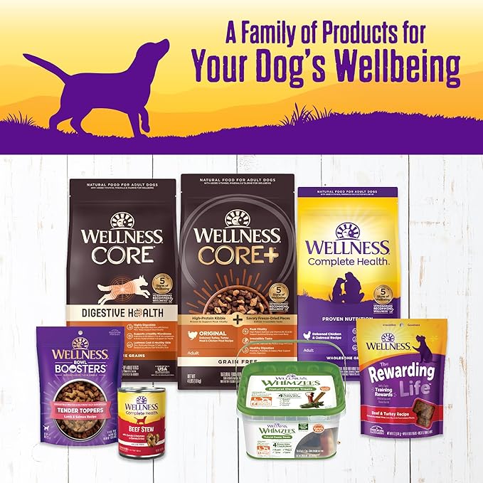 Wellness Complete Health Thick & Chunky Natural Grain Free Canned Wet Dog Food, Chicken Stew, 12.5-Ounce Can (Pack of 12)