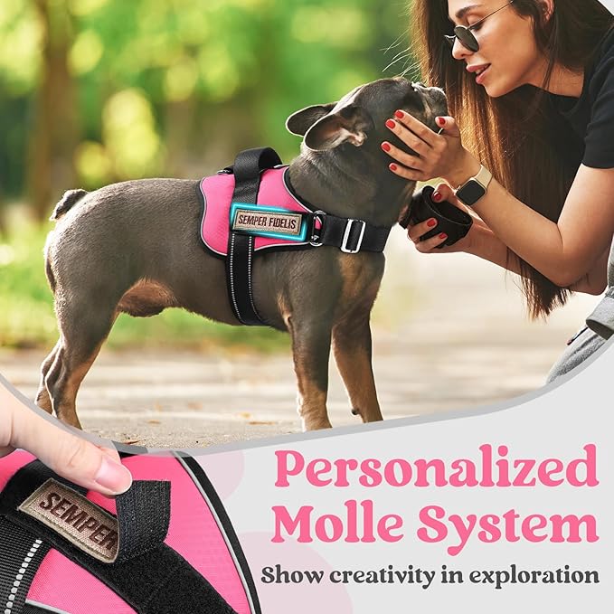 rabbitgoo Dog Harness for Large, Easy On Pet Vest with One Buckle, No Pull Adjustable Service Harness with D-Ring & Handle, Reflective for Safety Walking, Training, Pink, XL