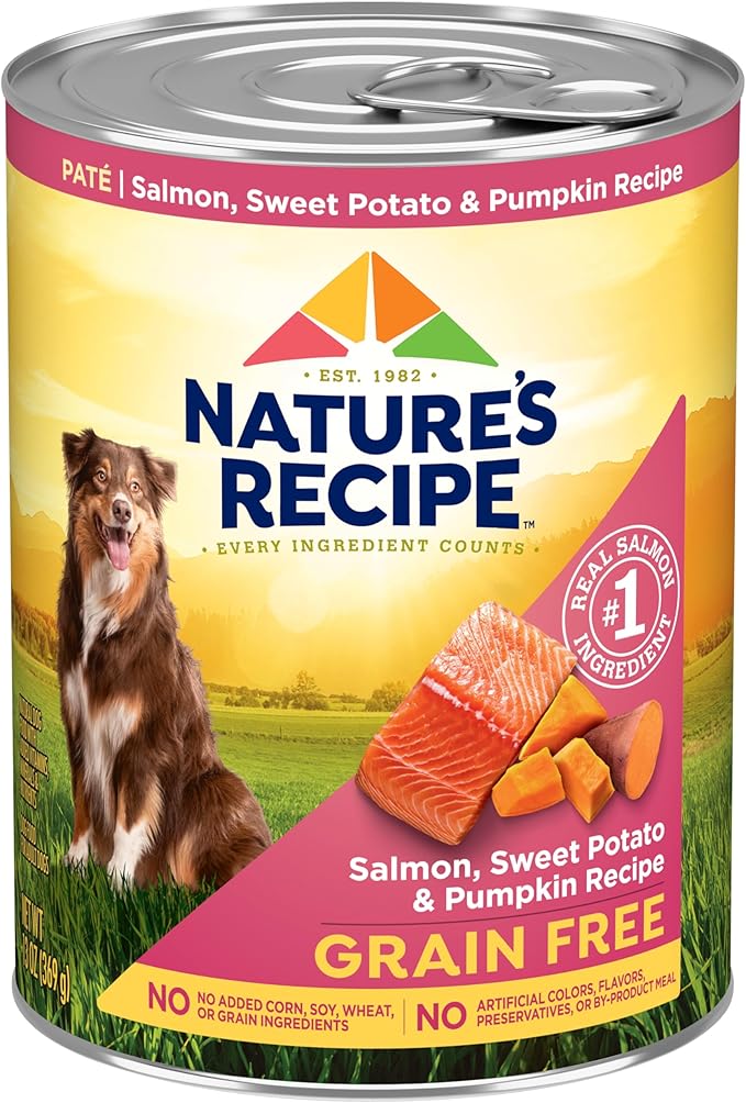Nature's Recipe Grain Free Salmon, Sweet Potato, and Pumpkin Recipe Wet Dog Food, 13 oz. Can, 12 Count