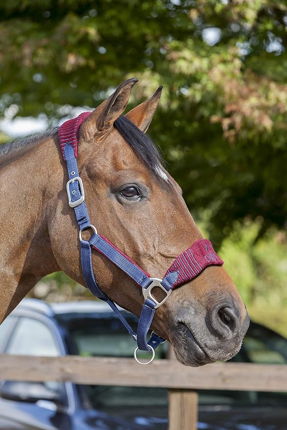 LeMieux Vogue Fleece Headcollar - Halter & Leadrope - Extra Padding, Adjustable at Curb and Poll Strap