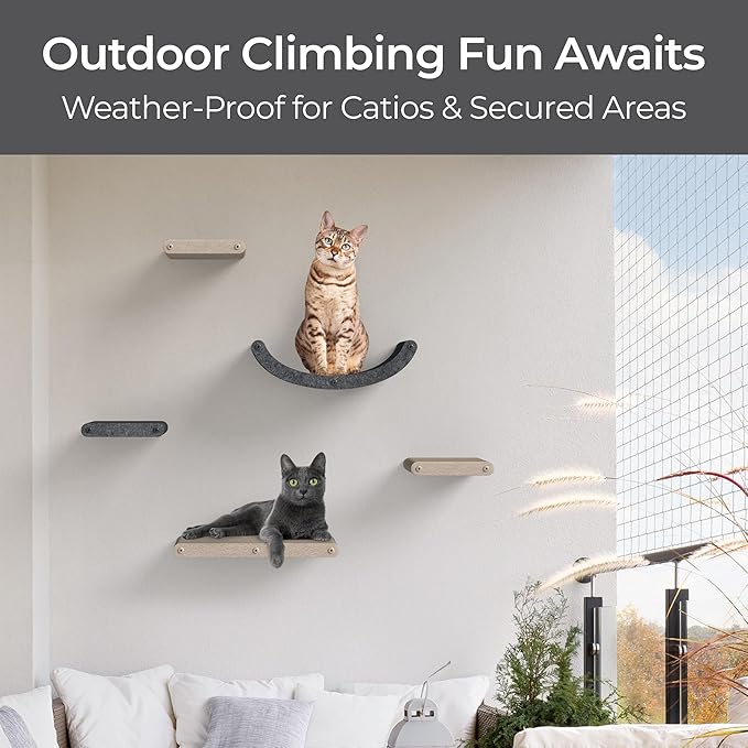 Wall Mounted Cat Shelves (Set of 4) by Pryde Pets - 100% Sustainable PET Felt Feline Enrichment Climber Furniture for Small & Large Indoor Cats, Modern Climbing Gym Jungle Design (Oatmeal)