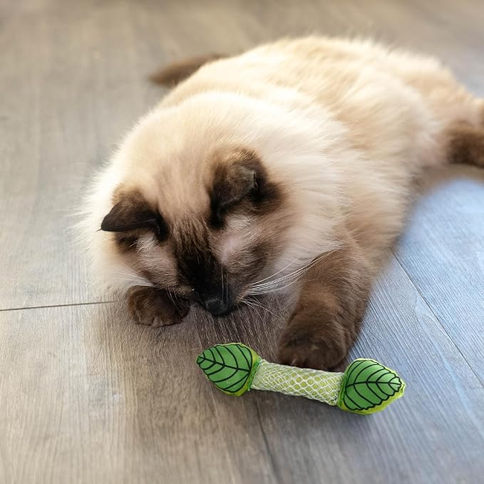 Petstages Fresh Breath Mint Stick Dental Cat Chew Toy