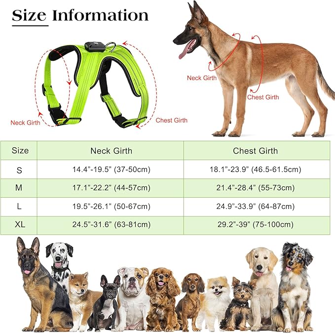 Light Up Dog Harness, Rechargeable LED Dog Harness with Battery Level Indicator, Adjustable Reflective Safety Vest for Night Walking, Soft Mesh Lighted Harness for Medium Large Dogs(5-90lbs)