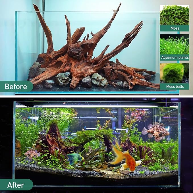 WDEFUN Natural Driftwood for Aquarium Decor, 2-Piece 10''-14'' Large Driftwood for Decorations on Fish Tank, Reptiles Bearded Dragon Accessories or Air Plants