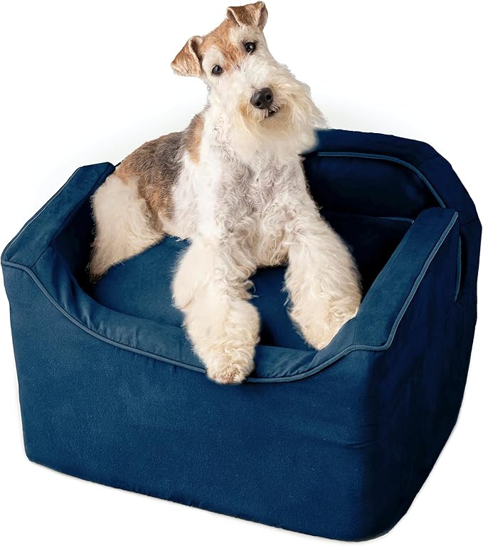 Snoozer Lookout I Car Seat - Dog Car Seats for Small Dogs, Puppy Booster Bed for Small & Medium Sized Pets Up to 25 Lbs, Elevated, Washable - Medium, Sapphire