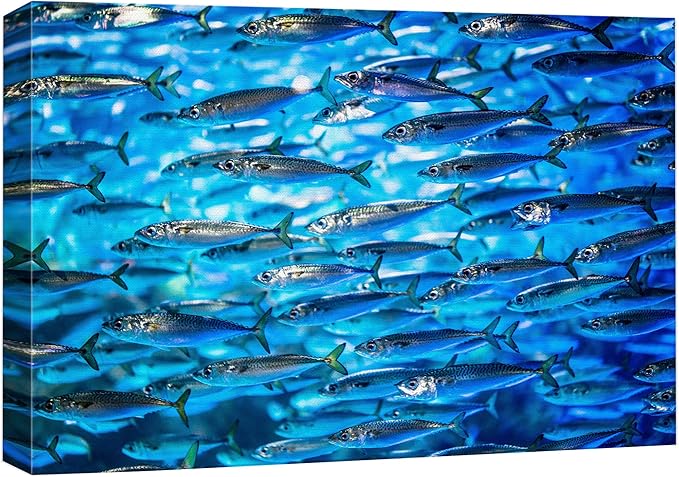 wall26 Canvas Print Wall Art Close Up Sardine School of Fish Underwater Nature Animals Photography Realism Rustic Scenic Landscape Wilderness Earth for Living Room, Bedroom, Office - 32"x48"