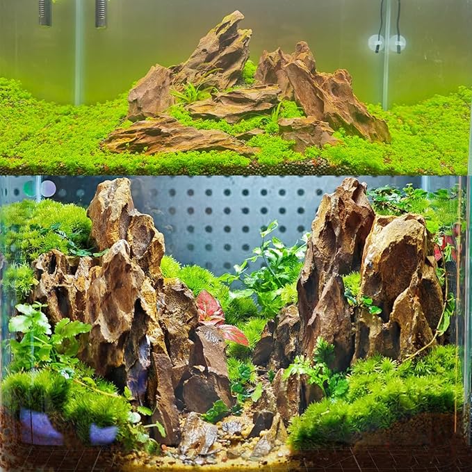 Aquariums Stones Natural Rocks 3Lb Aquarium Rock for Fish Tank Aquascaping,Aquariums,Terrariums,Vivariums,Decorative Stone,Reptile Enclosures,Paludariums,and Gardens-（2-5 Inch）