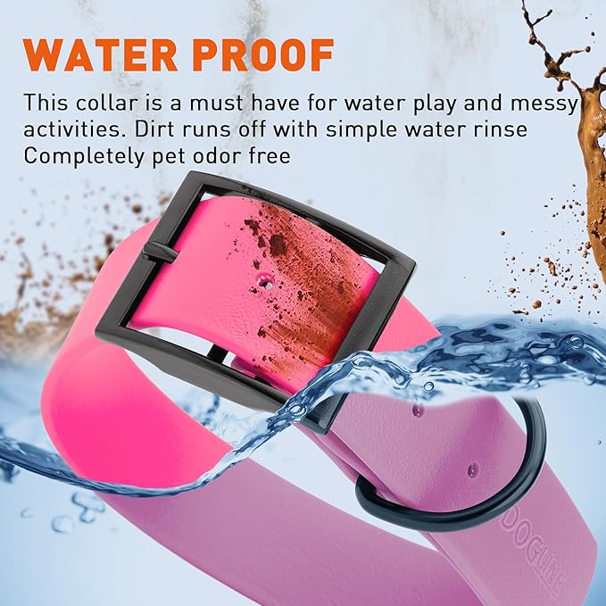 Dogline Biothane Waterproof Dog Collar Strong Coated Nylon Webbing with Black Hardware Odor- Proof for Easy Care Easy to Clean High Performance Fits Small Medium or Large Dogs, Passionfruit Pink