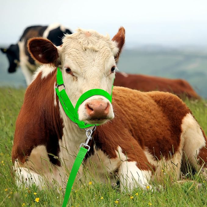 Hillban Cow Halter Cattle Halters Adjustable Calf Halter with Leading Rope for Miniature Horse Donkey Goat Foal Nylon Cattle Training Supplies