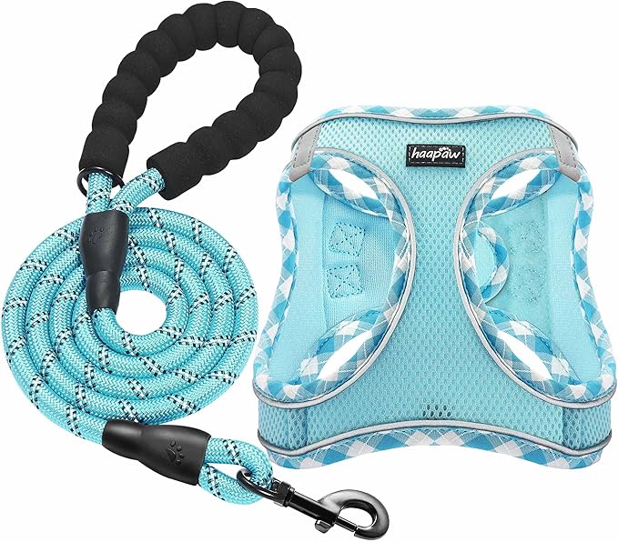 haapaw Dog Harness with Leash Set, No Pull Adjustable Reflective Step-in Puppy Harness with Thickened Padded Vest for Extra-Small/Small Medium Dogs