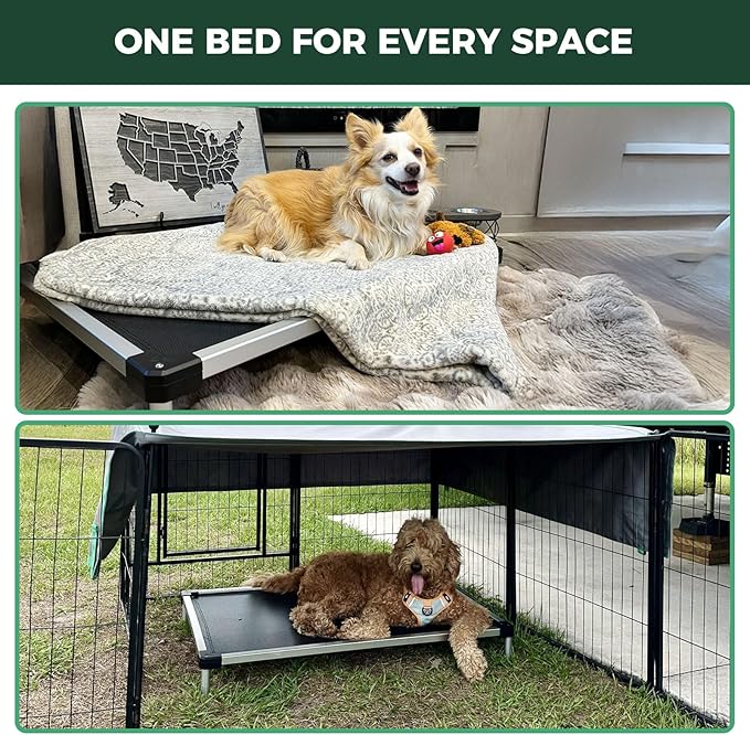 FXW TitanNest Chew-Proof Elevated Dog Bed, Raised Cot for Indoor/Outdoor/Camping Use, Durable & Waterproof Cooling Pet Bed for Extra Large Dogs, 56.0" L x 31.0" W x 7.3" H, Black