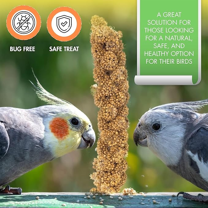 5LBS GMO-Free Sun Dried Spray Millet - Original Bird Treat Millet for Parakeets, Cockatiels, Finches & More - Non-GMO, High in Amino Acids, Easy Storage, Tasty & Healthy Bird Snacks (5 lbs)