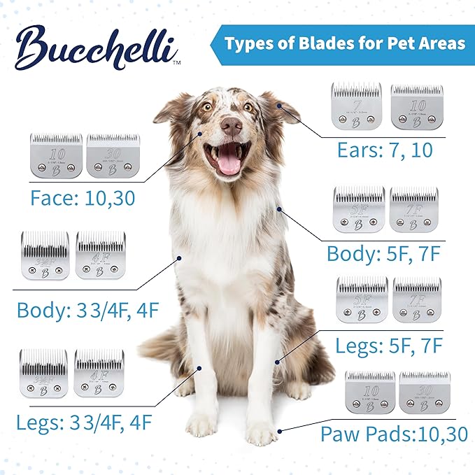Detachable A Series 30 Blades for Dog Grooming Cuts 1/50" - 0.5mm Japanese High Carbon Steel Dog Clipper Blades & 30 Blade Dog Grooming (Compatible A5 Series Clippers for Dogs Cat (B30)