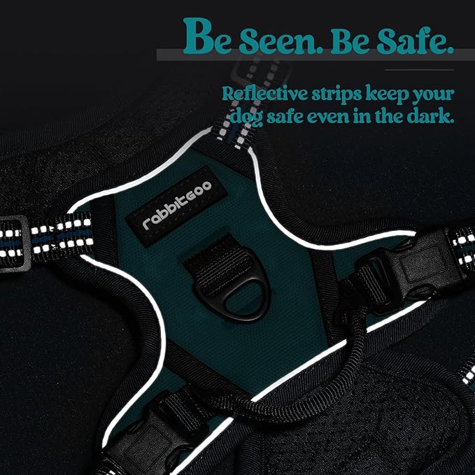 rabbitgoo Dog Harness No Pull with 2 Leash Clips, Adjustable Soft Padded, Reflective Oxford No Choke Pet Vest with Easy Control Handle for Puppy, Blue Coral, XS