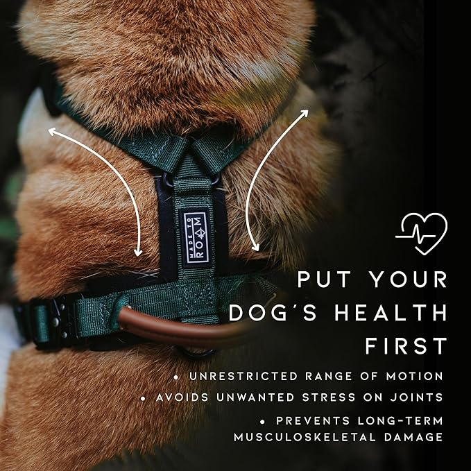 MADE TO ROAM Premium Explorer Harness - Y-Shaped Dog Harness with Adjustable Durable Nylon, Soft Padding, Metal Buckles and Leather Handle for Small, Medium, Large Dogs (Carolina Blooms, Size 7)
