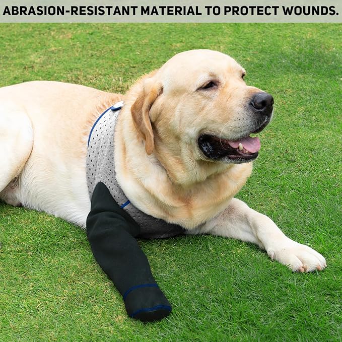 COODEO Dog Socks to Prevent Licking Paws, Healing Boots & Paw Protectors with Non-Slip Bottoms for Wound Protection, Waterproof Sleeve Shoes for Licking（Grey，3XL_Right