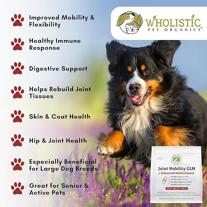 Wholistic Pet Organics Joint Supplement: Joint Mobility with Green Lipped Mussel Daily Joint Health Supplements for Dogs - Dog Glucosamine Powder with MSM, Probiotics, Vitamins, Minerals - 4 Lb