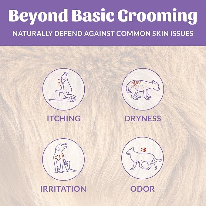 Skout's Honor Probiotic Dog Shampoo & Conditioner with Avocado Oil & Omega-3s, 97% Natural, Paraben & Sulfate-Free, Cruelty-Free, 16oz, Lavender, 2-Pack