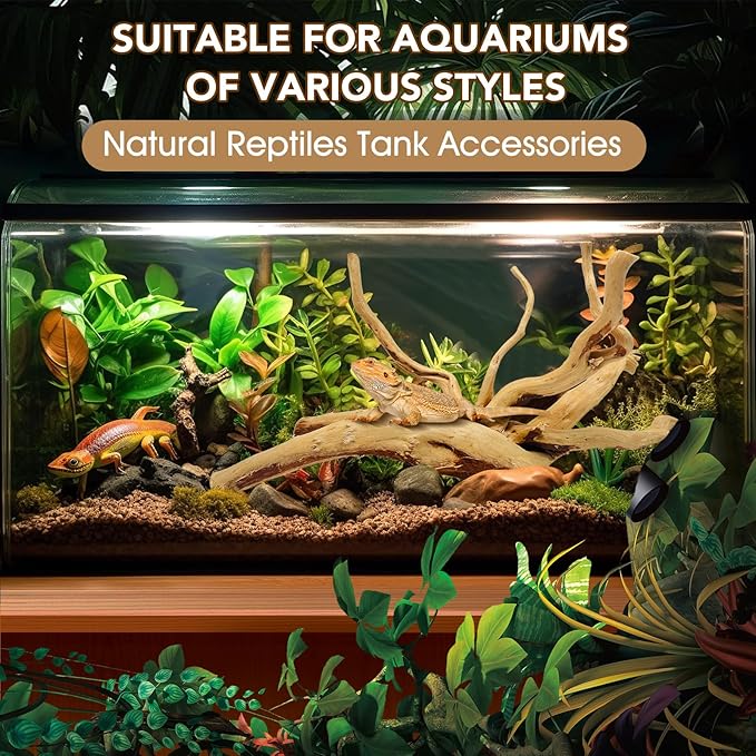 Natural Small Spiderwood Driftwood for Aquarium Decor Rptile Fish Tank Decoration Assort Branch 4-7'' 8 Pcs