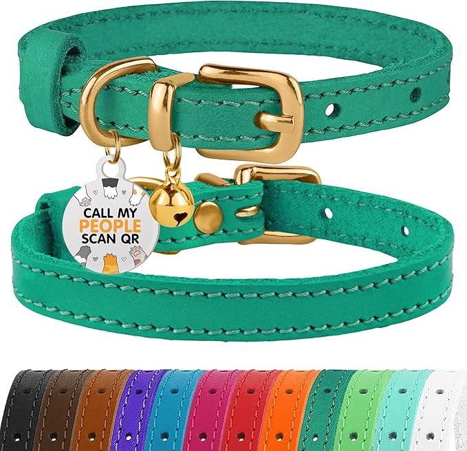 BRONZEDOG Leather Cat Collar with Removable Bells Non Breakaway Kitten QR Tag for Girl Boy (9" - 12" Cats/Mini Dogs, Green & Gold)