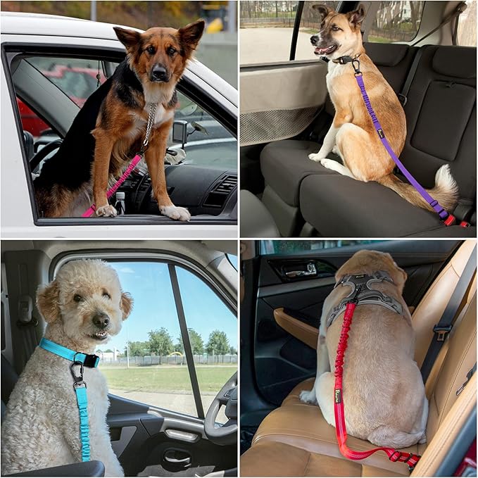 Plutus Pet Dog Seat Belt for Car, Adjustable Dog Car Harness with Carabiner Clip, Reflective Safety Dog Seatbelt Leash with Elastic Bungee, Ranger Green