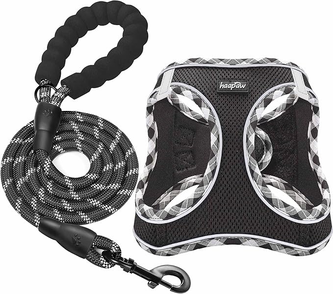 haapaw Dog Harness with Leash Set, No Pull Adjustable Reflective Step-in Puppy Harness with Thickened Padded Vest for Extra-Small/Small Medium Dogs