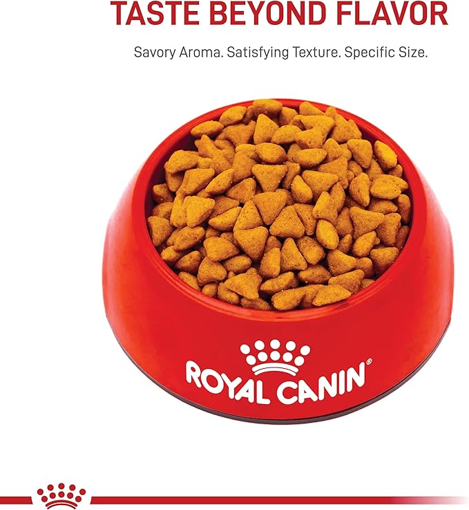 Royal Canin Feline Health Nutrition Indoor Adult Dry Cat Food, 7-Pound