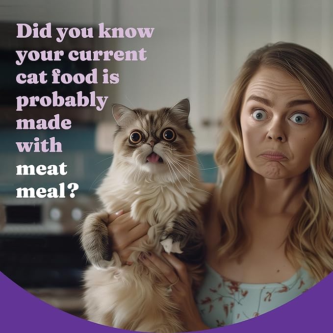 Halo Holistic Cat Food Wild Caught Salmon & Whitefish Formula, Healthy Grains Dry Cat Food, Complete Digestive Health, Kibble for Adult Cats, 10 lb Bag