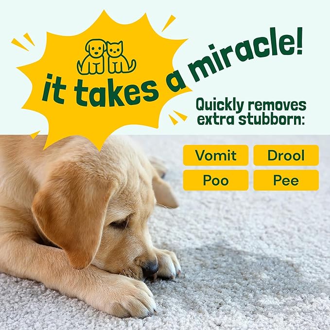 Sunny & Honey Enzyme Carpet Cleaner Spray - 32 Fl Oz, Spring Mint - Pet Urine Remover & Odor Eliminator - Stain Remover
