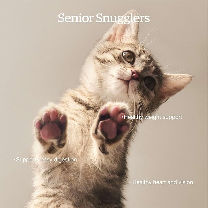 Now Fresh Grain-Free Senior Dry Cat Food with Turkey, Salmon & Duck, Premium Kibble Made with Real Meat & Fish, Chicken-Free Recipe, Supports Healthy Weight Management, 16 lb Bag