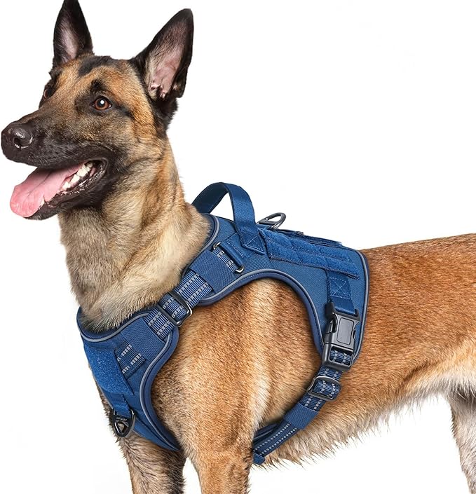 rabbitgoo Dog Harness for Large Dogs No Pull, Tactical Service Pet Vest with Molle and Control Handle, Adjustable and Reflective Military Harness for Easy Walking and Training, Blue, L
