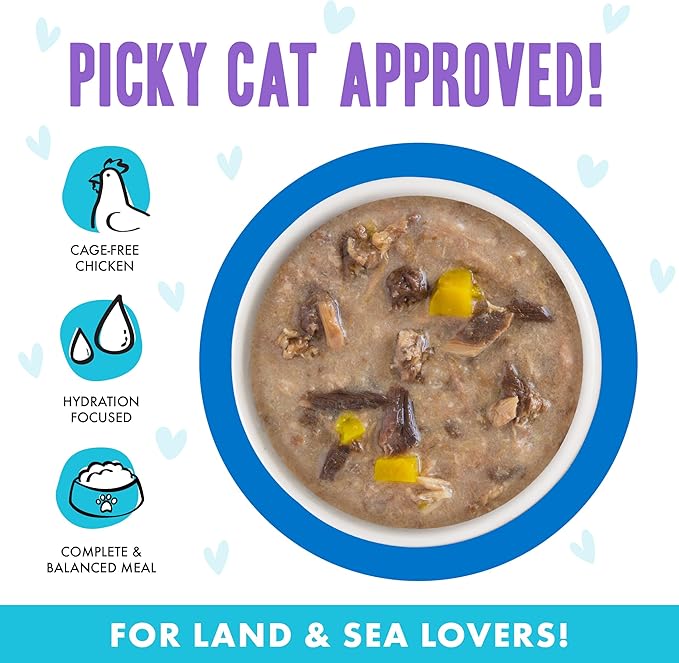 Weruva B.F.F. OMG - Best Feline Friend Oh My Gravy!, Love Munchkin! with Chicken & Pumpkin in Gravy Cat Food, 2.8oz Can (Pack of 12)