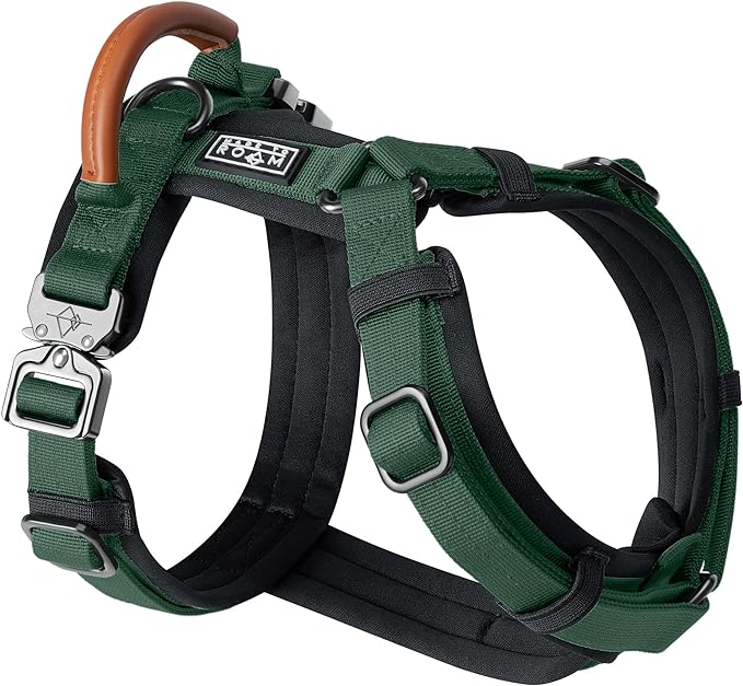 MADE TO ROAM Premium Explorer Harness - Y-Shaped Dog Harness with Adjustable Durable Nylon, Soft Padding, Metal Buckles and Leather Handle for Small, Medium, Large Dogs (Maine Marina, Size 2)