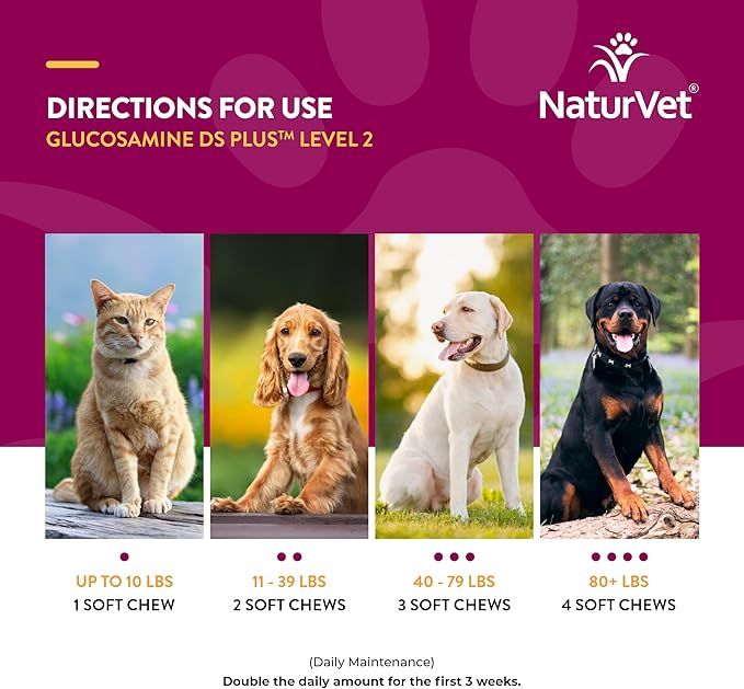 NaturVet – Glucosamine DS Plus - Level 2 Moderate Care – Supports Healthy Hip & Joint Function – Enhanced with Glucosamine, MSM & Chondroitin – for Dogs & Cats–120 Soft Chews