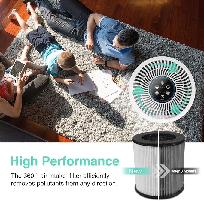 Tailulu Air Purifier Replacement Filter for D09 Air Cleaner, 3-in-1 True H13 HEPA Filter, 1 Pack