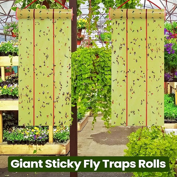 Qualirey Giant Sticky Fly Traps,30 Feet Fly Strips for Indoor Outdoor Hanging Flying Tapes Non Toxic Ribbon Fruit Gnat Killer for Mosquito Plants House Horse Stable (Fluorescent Green,15 Pcs)