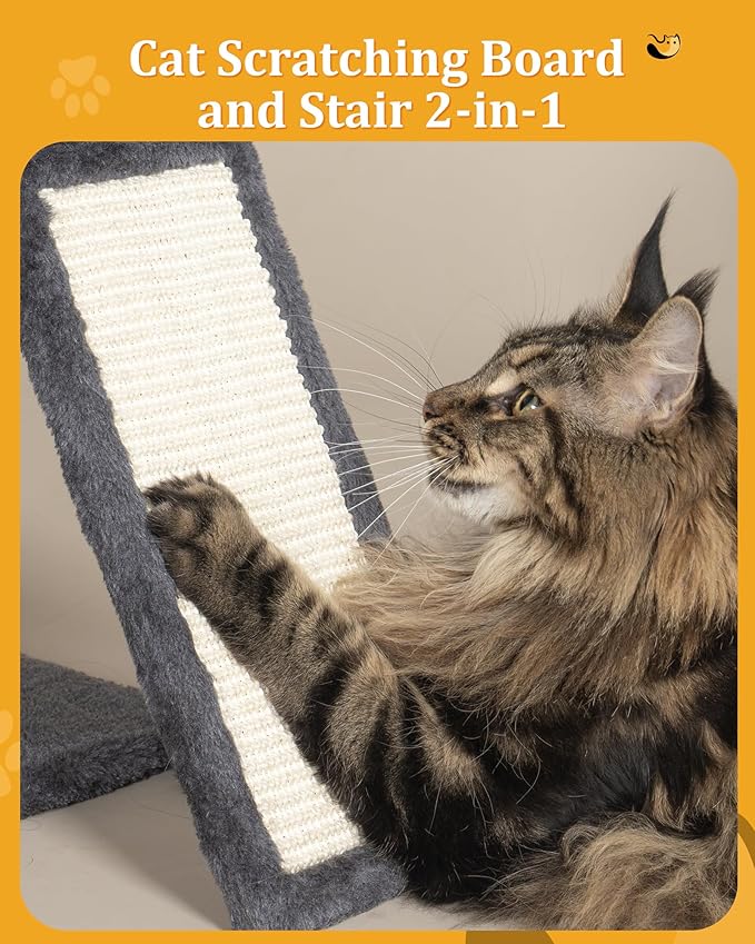 XL Cat Tree Tower for Large Adult Cats 20 lbs+, 25in Perch Bed, Condo Cave for Indoor Medium Kittens, 2 Scratchers, Extra Large Platform