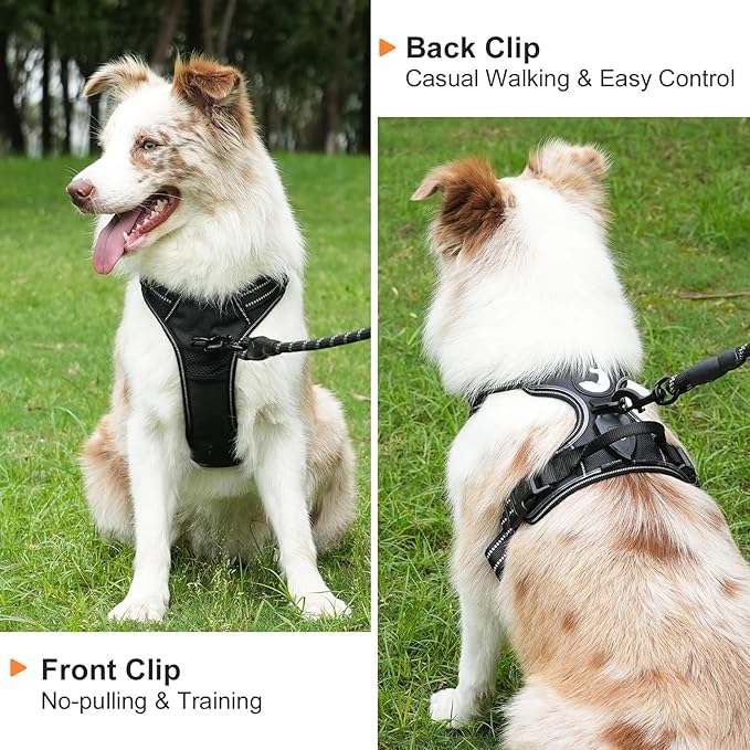 Taglory Light Up Dog Harness, Rechargeable No Pull Dog Vest with 3 Lightning Modes, Reflective Dog Harness with 2 Leash Clips & 4 Adjustable Slide Strips for Large Dogs, Black-Purple, L