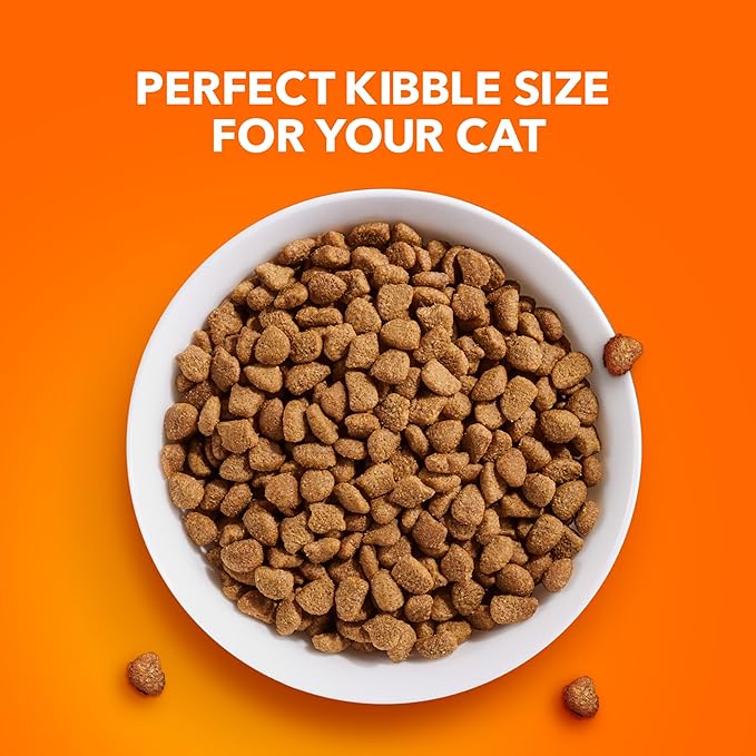 IAMS Proactive Health Adult Urinary Tract Health Dry Cat Food with Chicken, 7 lb. Bag