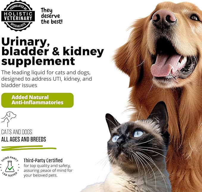 Cat & Dog Urinary Tract Treatment, Bladder & Kidney Support for Dogs and Cats, Powerful Yet Gentle Pet Care, with Liquid Cranberry & Glucosamine, Chicken Flavor, 6 oz Bottle, 1 Pack