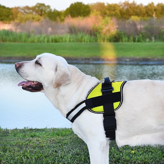 Dogline Dog Harness, Reflective No-Pull Adjustable Vest with Handle for Walking, Training, Breathable, No - Choke Harness for Small, Medium or Large Dogs Room for Patches Girth 22"-28" in Lime Green