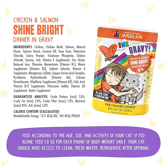 Weruva B.F.F. OMG - Best Feline Friend Oh My Gravy!, Chicken & Salmon Shine Bright with Chicken & Salmon in Gravy, 2.8oz Pouch (Pack of 12)