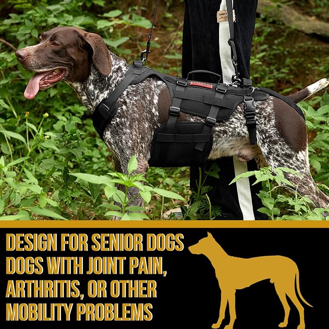 OneTigris Dog Lift Harness for Large Dogs, Dog Hip Support Brace, Full Body Lifter with Handles Invictus Multifunctional Mobility Assistance Vest for Back Legs (Black, Large)